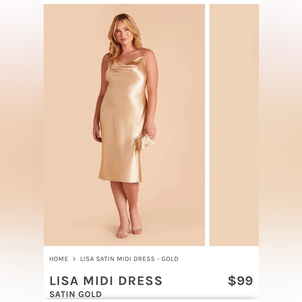 Lisa Satin Midi Dress. Birdy Grey. Size XL (12) NWT